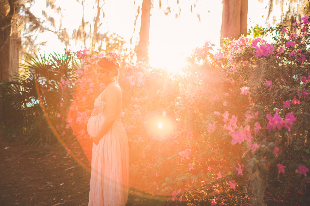 florida azaleas maternity portrait during sunset photography shoot