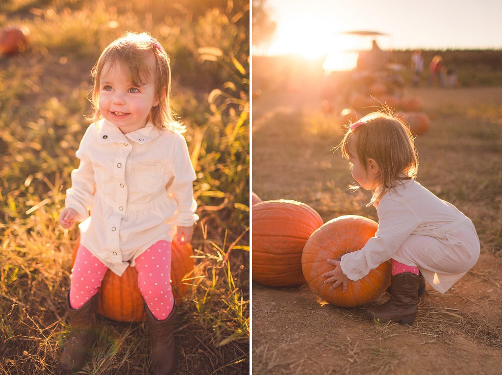 toddler sits on pumpkin during gaver farm family photography session in frederick
