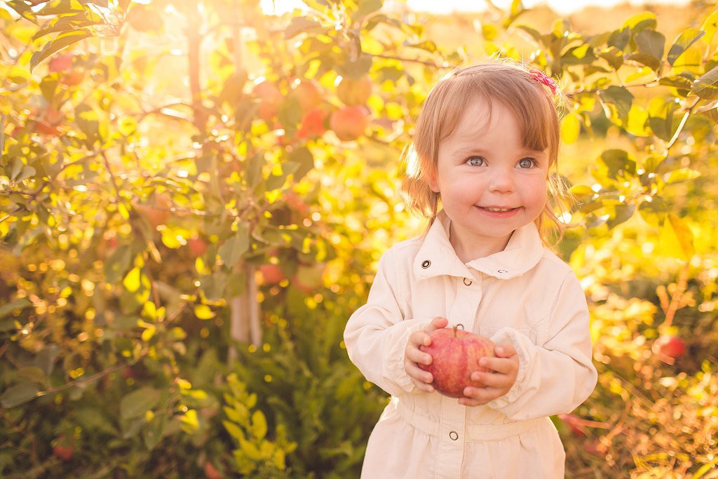 toddler holds apple in orchard during family photograph session in mt airy