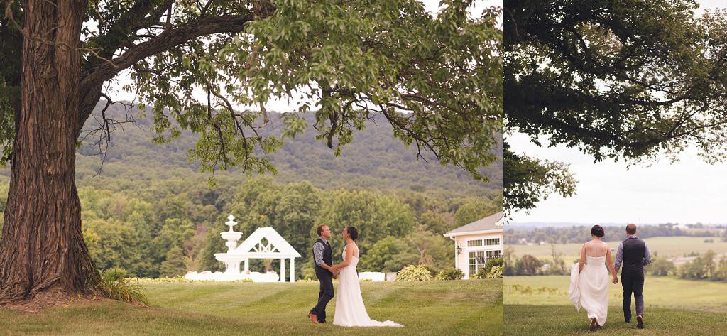 Washington DC Wedding Photography with bride and groom under tree