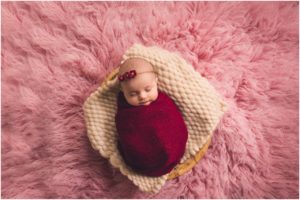 Newborn baby photographer jacqie q captures newborn