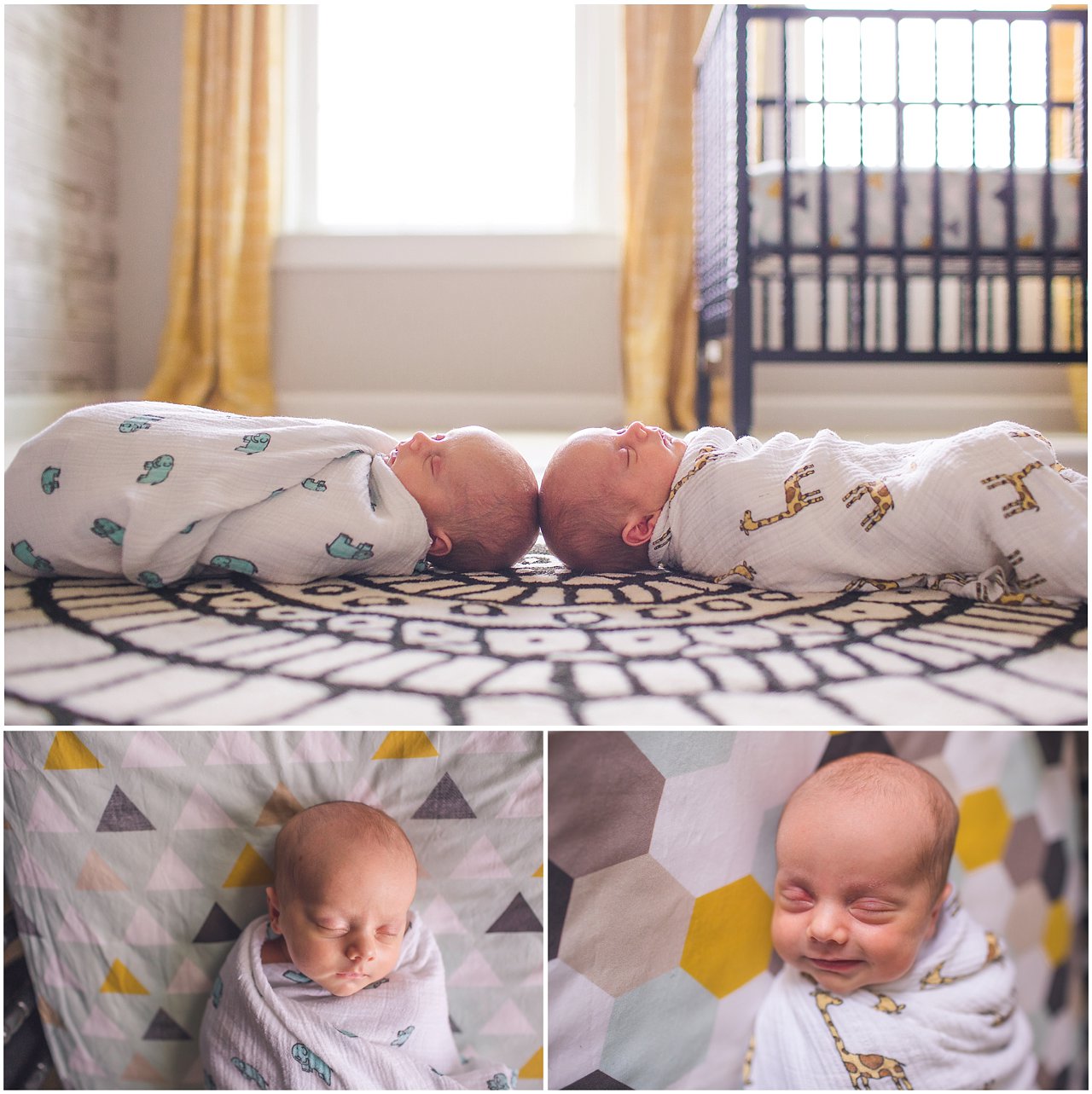 Cumberland MD Newborn Photography by Jacqie Q